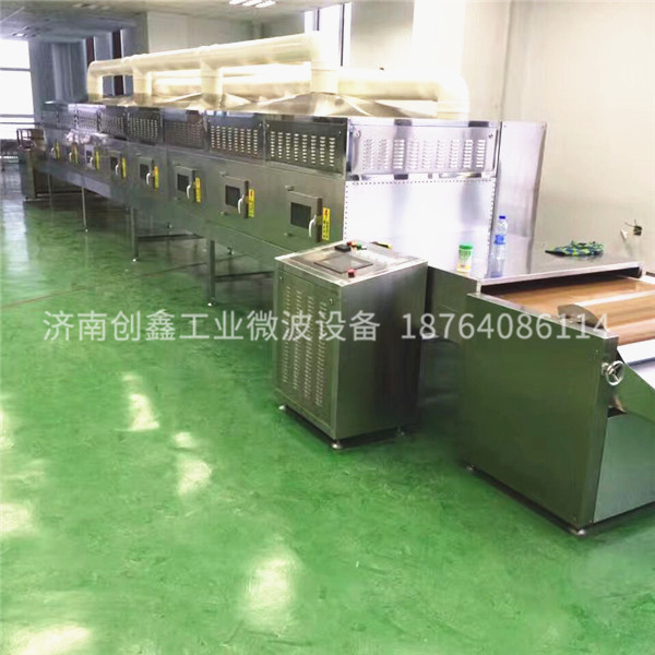 豆制品微波殺菌設備