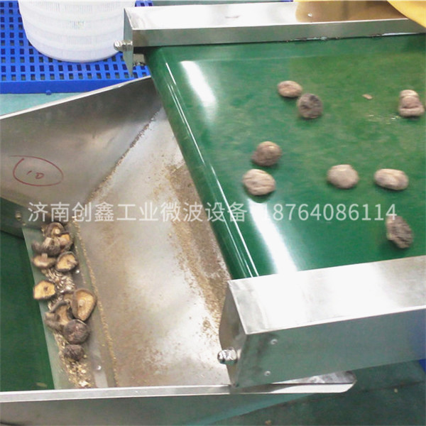 香菇殺菌機(jī) 微波香菇殺菌殺蟲(chóng)卵設(shè)備 殺菌烘干可以同時(shí)進(jìn)行